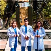 Profesor de Psicología Clínica con NNA, Terapia Familiar y de Parejas